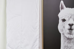 Alpaca Summer Weight Comforter - New Zealand Made