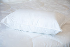 Wool/Polyester Pillow - Made in NZ